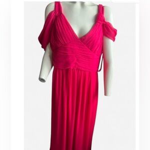 Max & Cleo Vibrant Pink Maxi Dress
